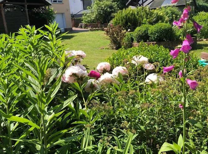 Lejlighed Gemuetliches Garden View Ramstein-Miesenbach